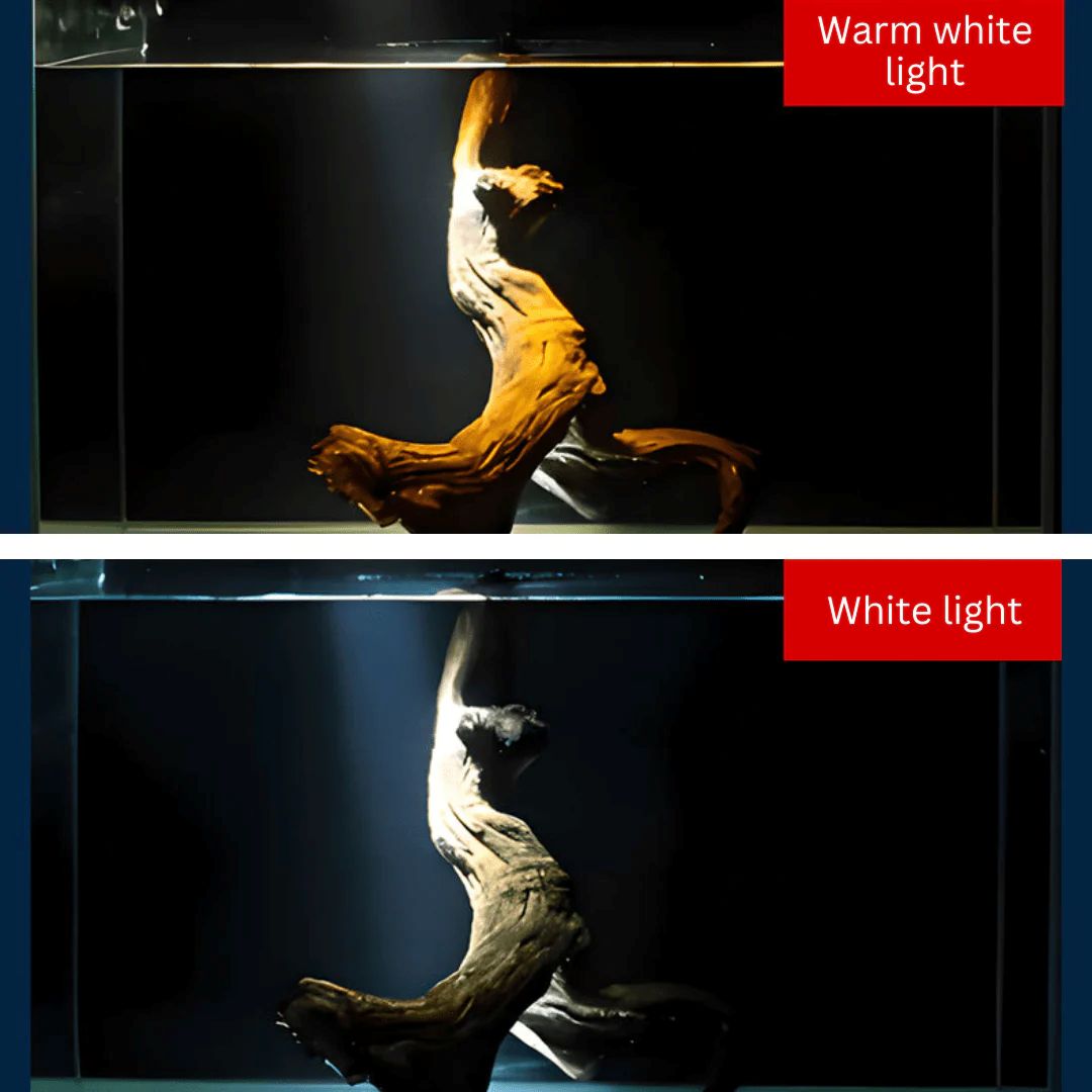 ROXIN Y1 Spotlight (White led) for biotope scape