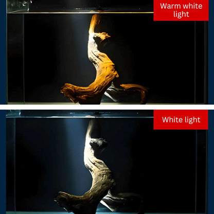 ROXIN Y1 Spotlight (White led) for biotope scape