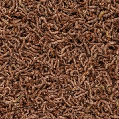 SFBB Freeze Dried BLOODWORM