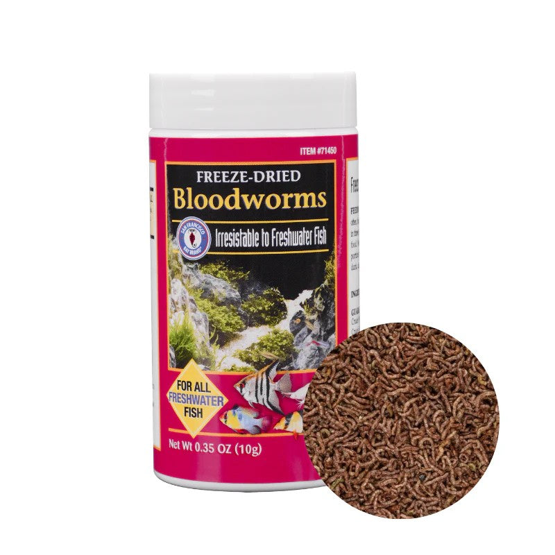 SFBB Freeze Dried BLOODWORM