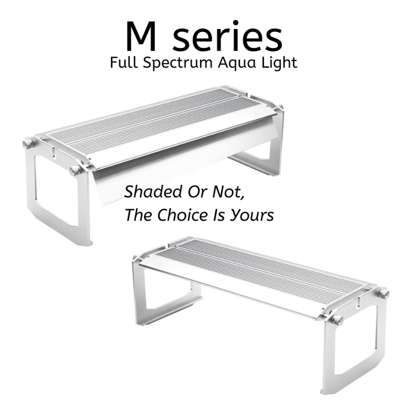 Week Aqua M series LED Light
