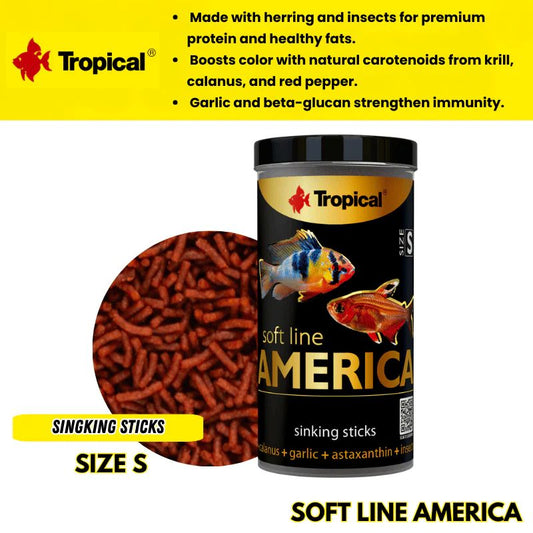 Tropical Soft Line America Size S