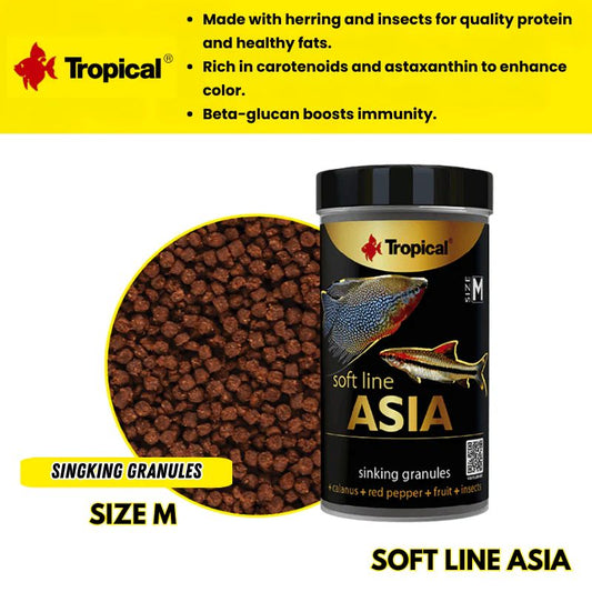 Tropical Soft Line Asia Size M