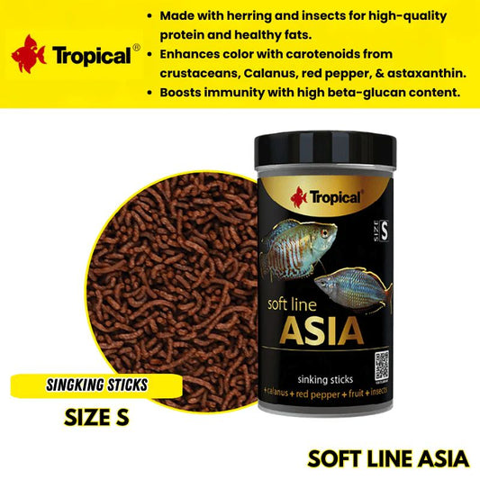 Tropical Soft Line Asia Size S