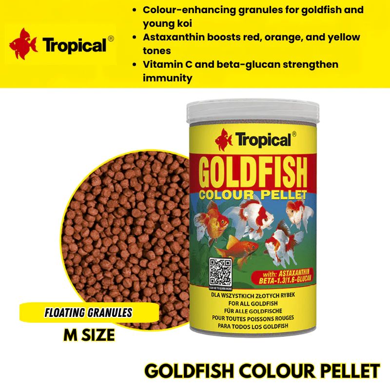 Tropical Goldfish Colour Pellet Size S