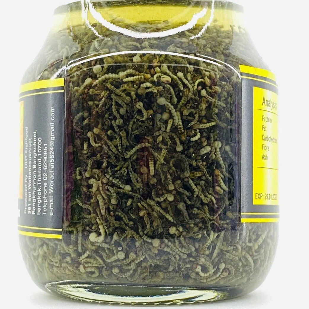 UHT Black Mosquito Larvae - 75g (Bottled)