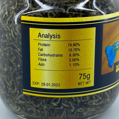 UHT Black Mosquito Larvae - 75g (Bottled)