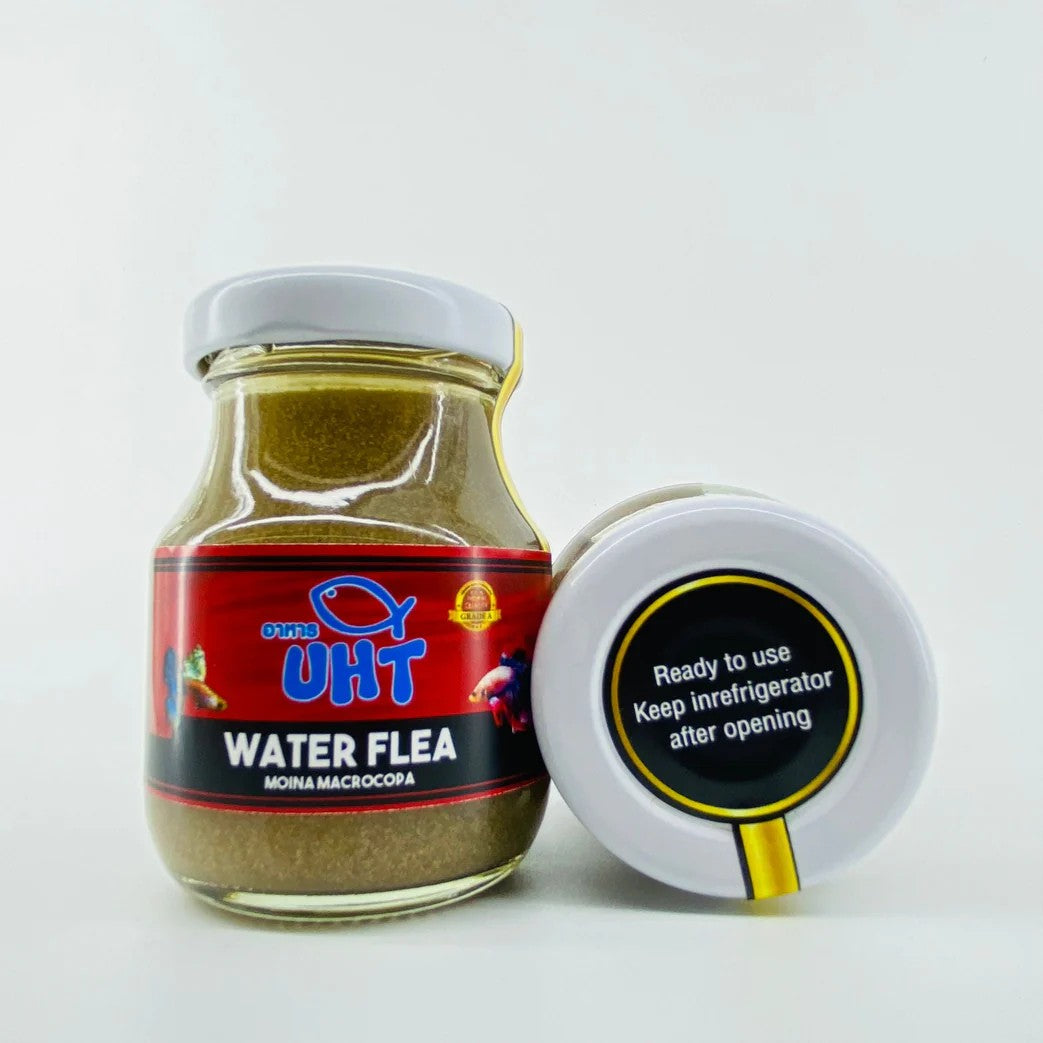 UHT Water Flea / Moina Macrocopa - 75g (Bottled)
