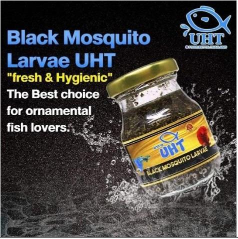 UHT Black Mosquito Larvae - 75g (Bottled)