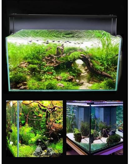 Frok T1 LED RGB Light (Controllable With Remote Control)