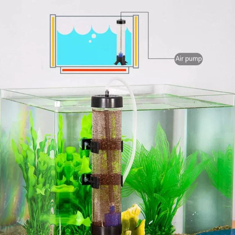 NF Brine Shrimp Hatchery
