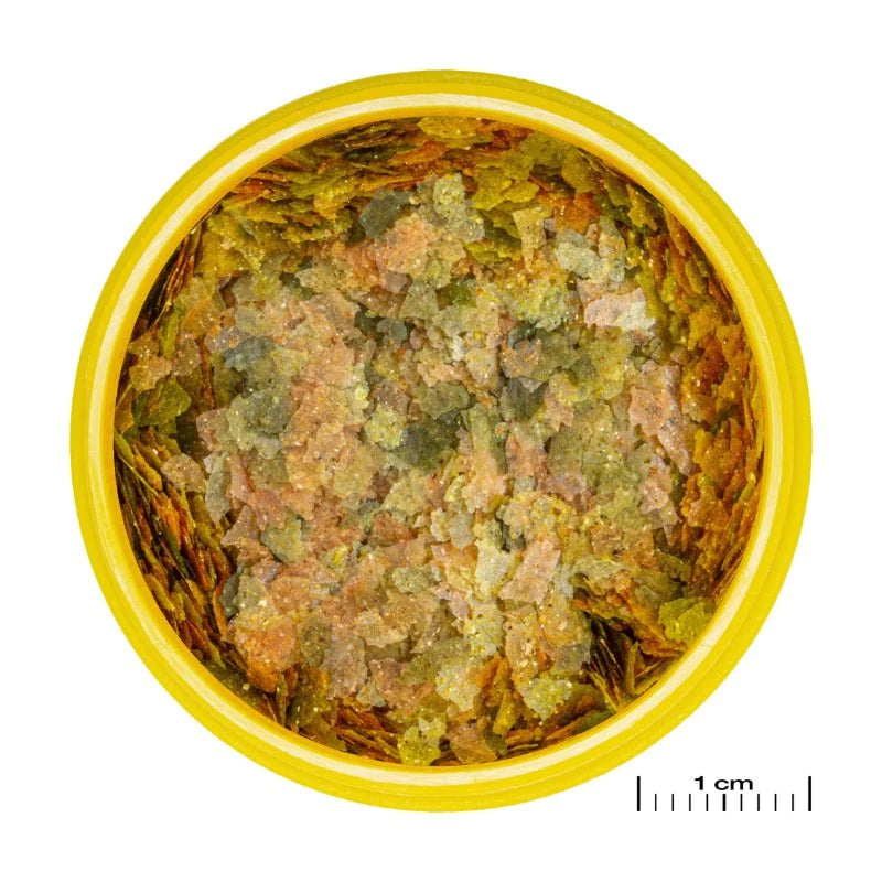 JBL ProNovo Bel Flakes S (Mini Flakes For Tropical Fishes)