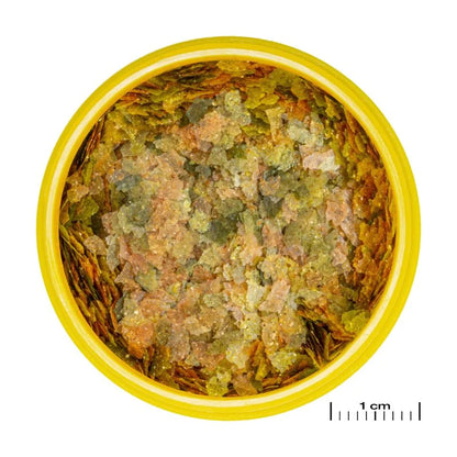 JBL ProNovo Bel Flakes S (Mini Flakes For Tropical Fishes)