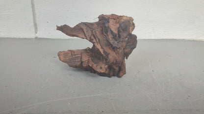 Driftwood #12