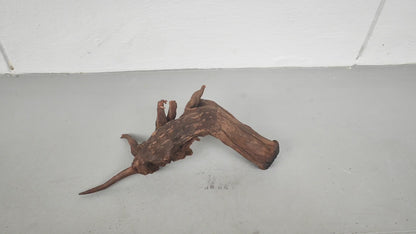 Driftwood #009