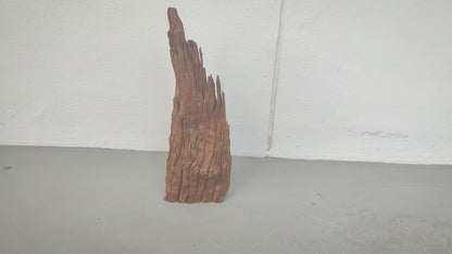 Driftwood #003