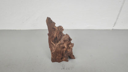 Driftwood #19