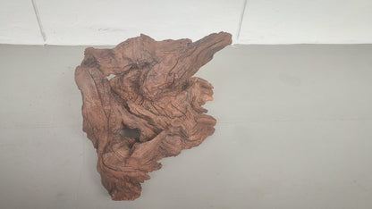 Driftwood #001