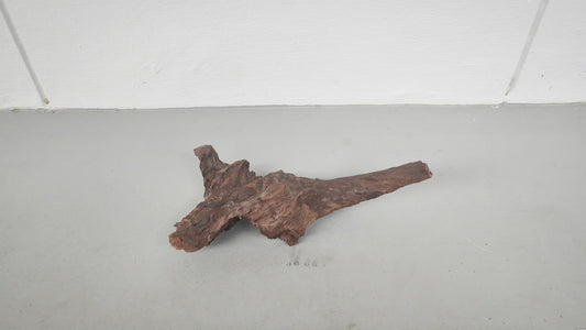 Driftwood #007