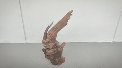 Driftwood #16