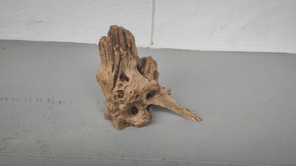 Driftwood #004