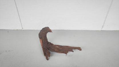 Driftwood #006