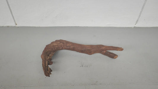 Driftwood #18