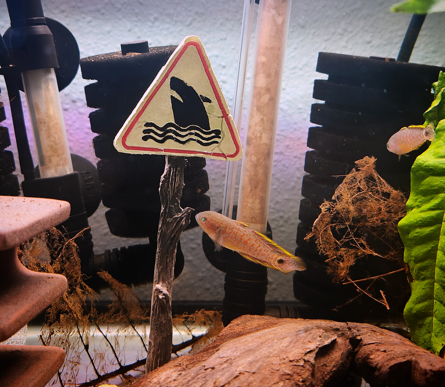 Warning Sign Accessories for Fish Tank