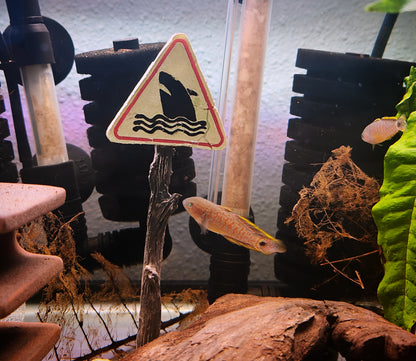 Warning Sign Accessories for Fish Tank