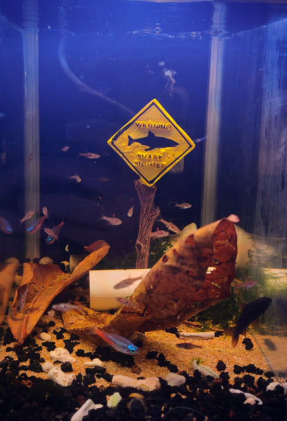Warning Sign Accessories for Fish Tank