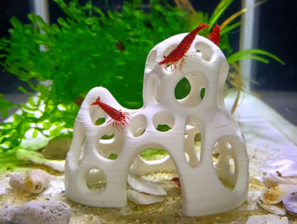 Shrimps cave / shelter
