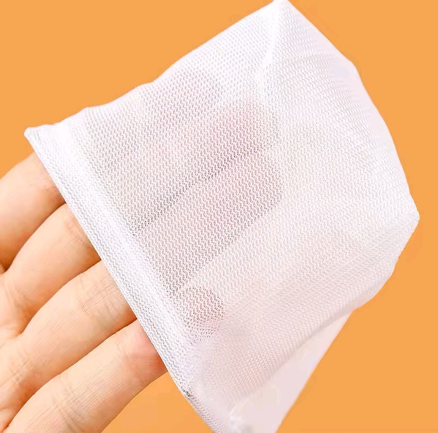 Fishing Net With Extendable Long Handle