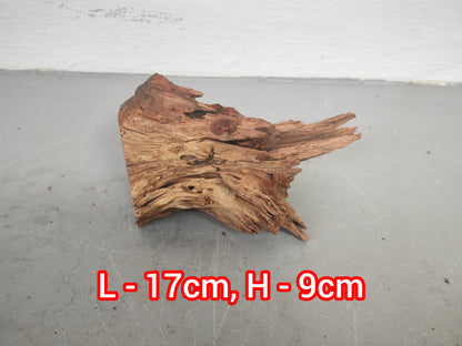Driftwood #13