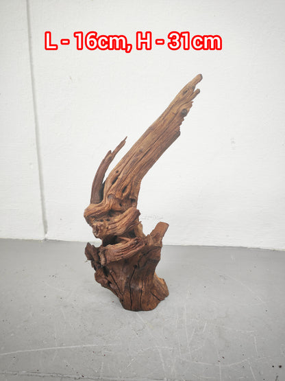 Driftwood #16