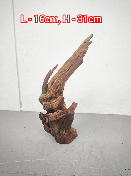 Driftwood #16