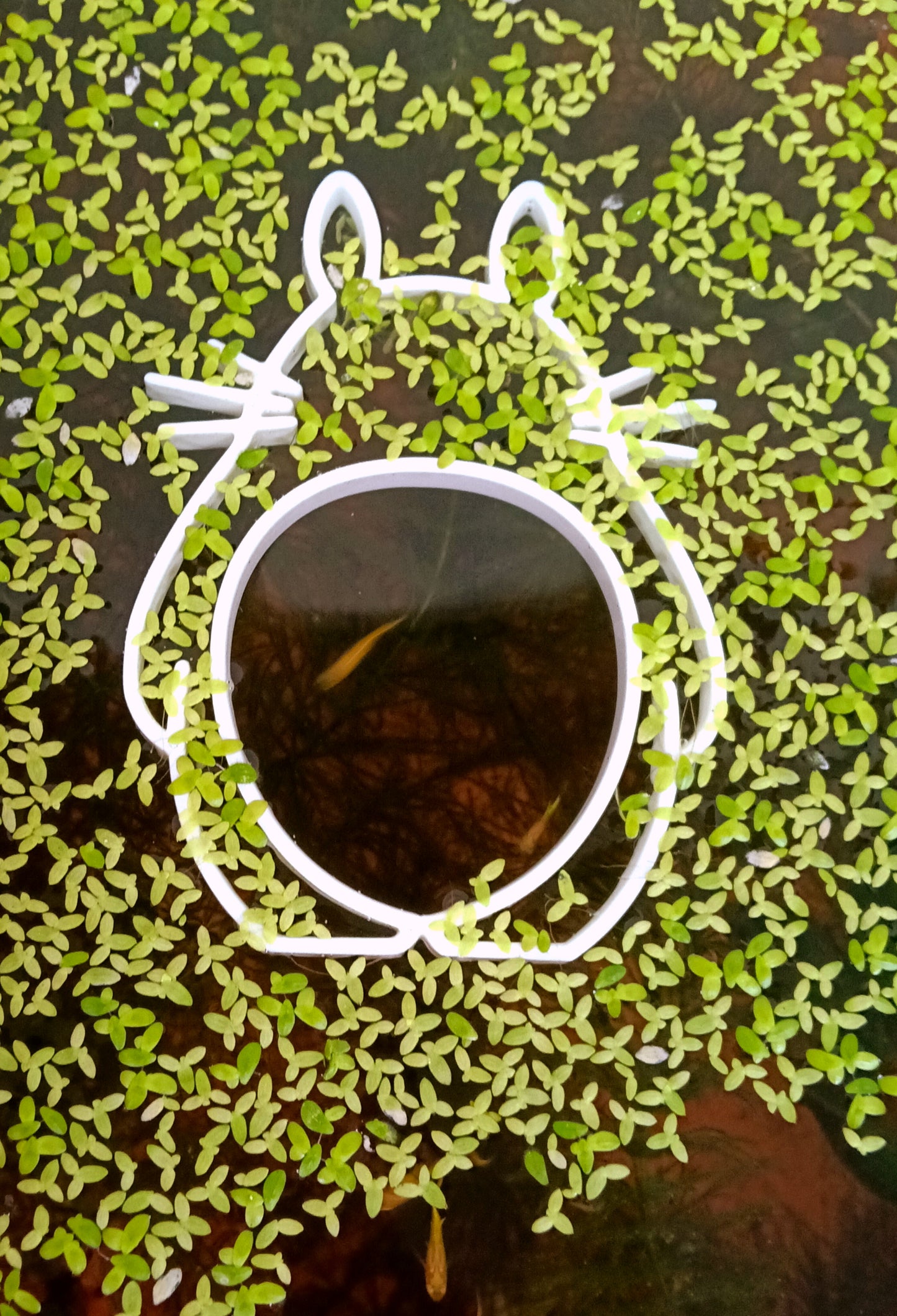 Floating feeding plate (Totoro)