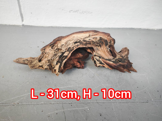 Driftwood x 1