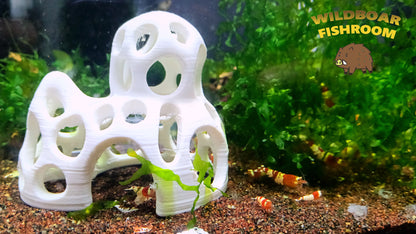 Shrimps cave / shelter