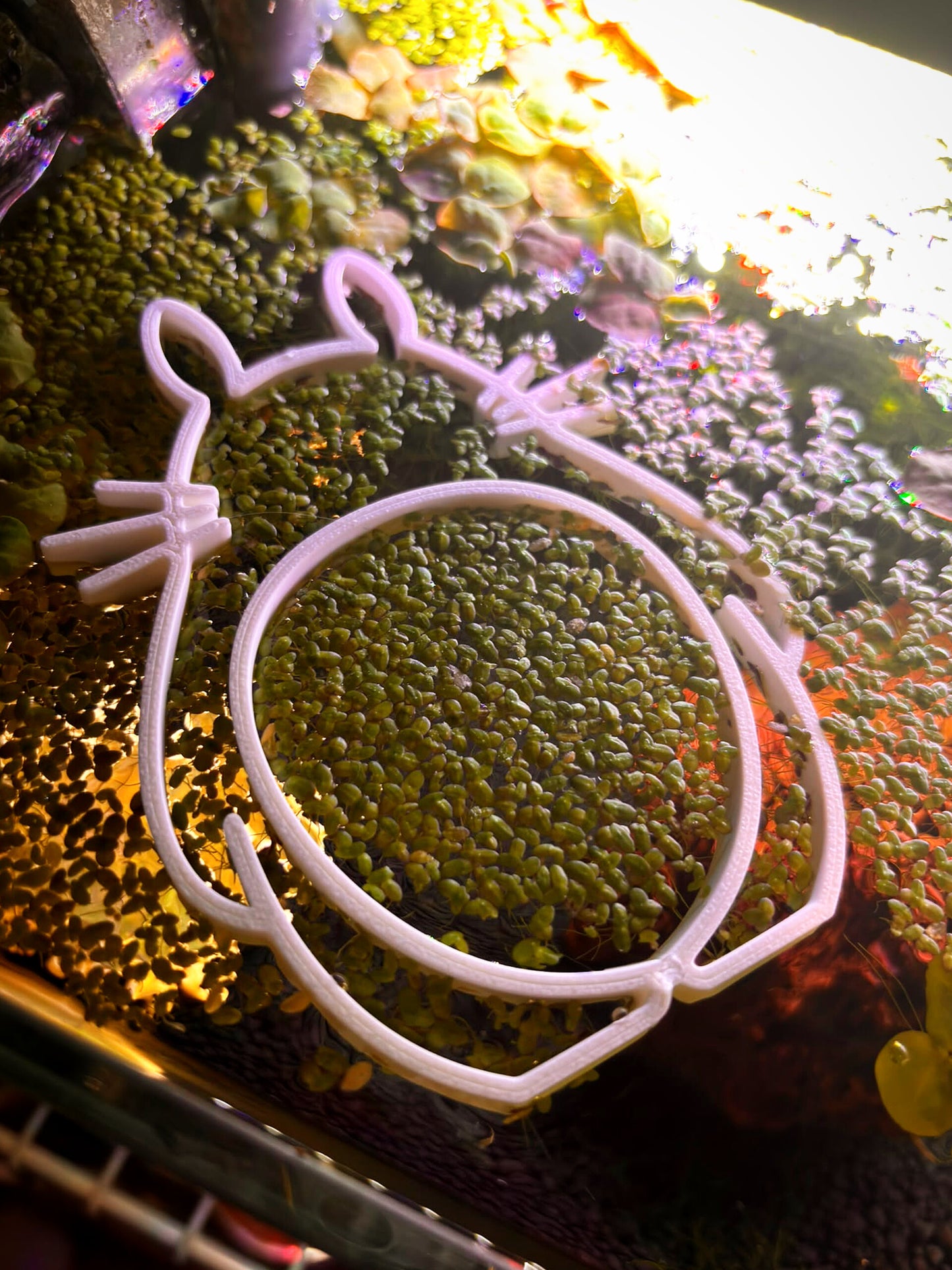 Floating feeding plate (Totoro)
