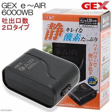 GEX E-Air pump